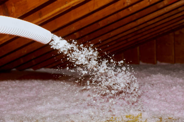 Best DIY Insulation Kits and Guidance in Mmaduke, AR