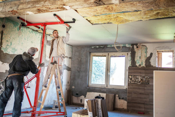 Best Cellulose Insulation in Mmaduke, AR