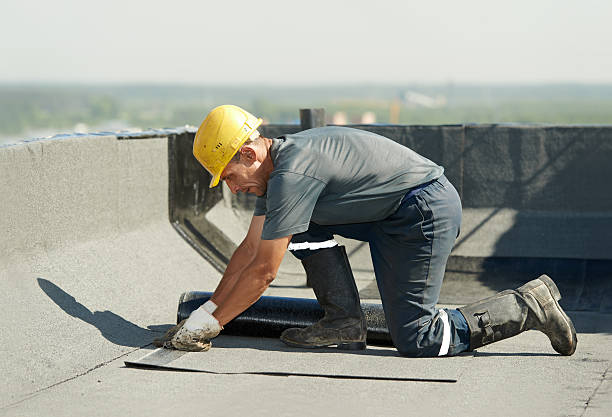 Best Geographic-Specific Insulation Services in Mmaduke, AR