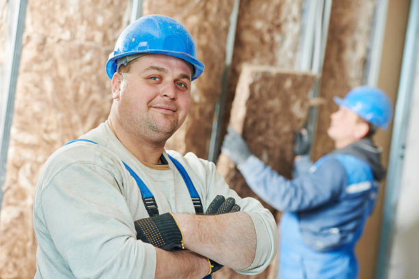 Best Eco-Friendly Insulation in Mmaduke, AR