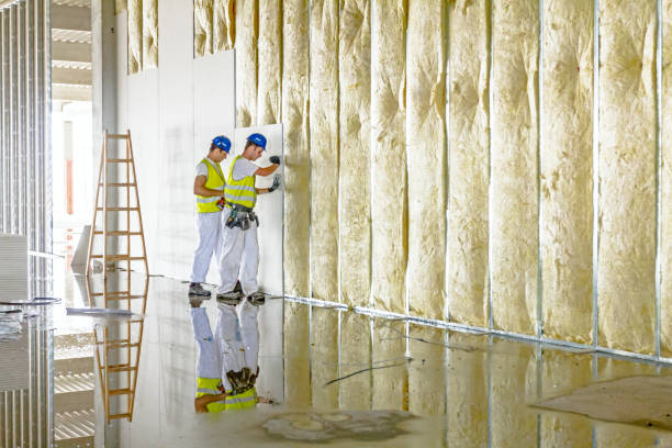 Types of Insulation We Offer in Marmaduke, AR